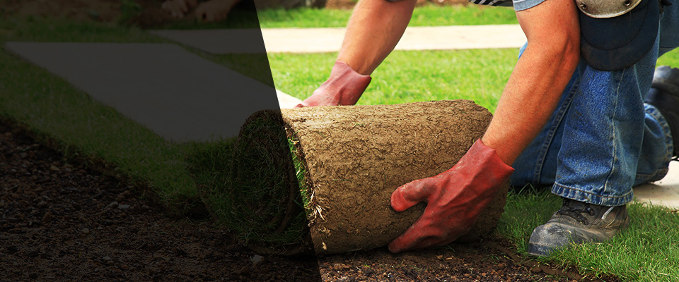 Harrison City Landscapers